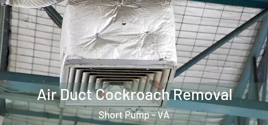 Air Duct Cockroach Removal Short Pump - VA