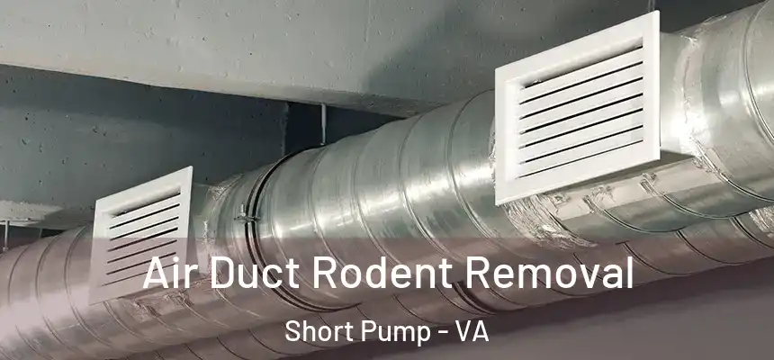  Air Duct Rodent Removal Short Pump - VA