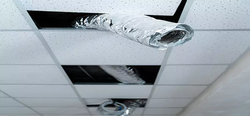 Affordable HVAC Sanitizing After Pest Removal in Short Pump