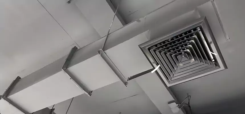 Our Rodent Droppings In Vents Services in Short Pump, VA