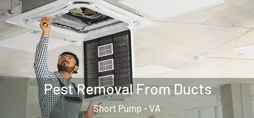  Pest Removal From Ducts Short Pump - VA