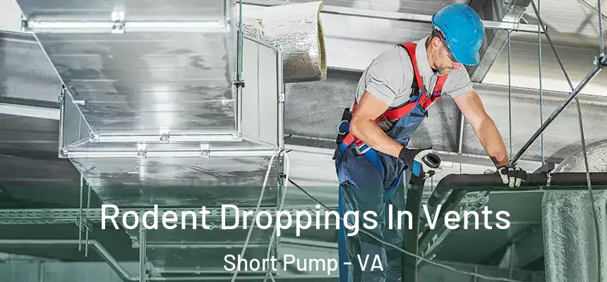  Rodent Droppings In Vents Short Pump - VA