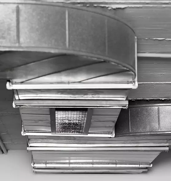 Professional Air Duct Pest Removal in Short Pump, VA