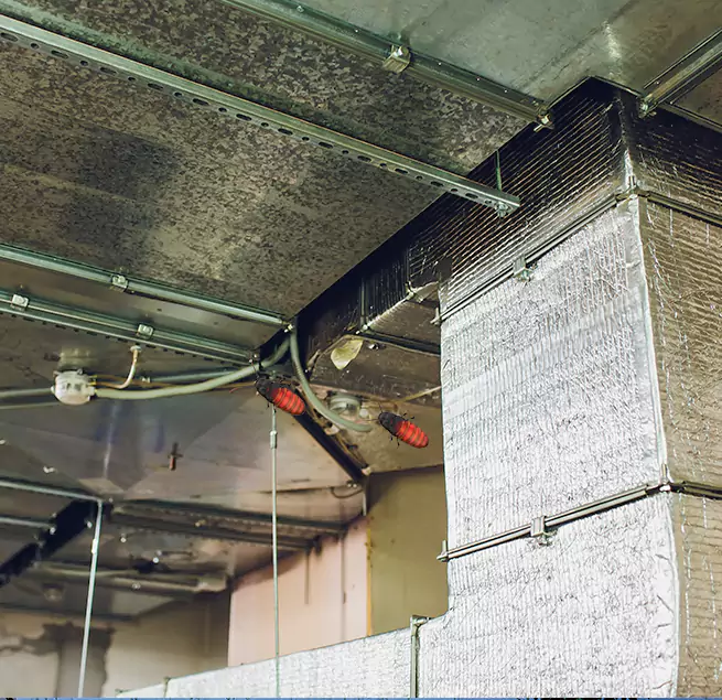 Why Homeowners & Businesses Trust Us in Short Pump, VA?