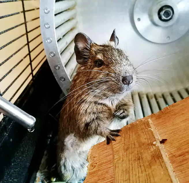 Why Homeowners & Businesses Trust Us Short Pump, VA